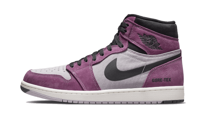 Air Jordan 1 High Element Gore-Tex Beere