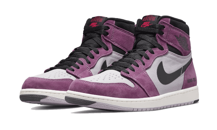 Air Jordan 1 High Element Gore-Tex Beere