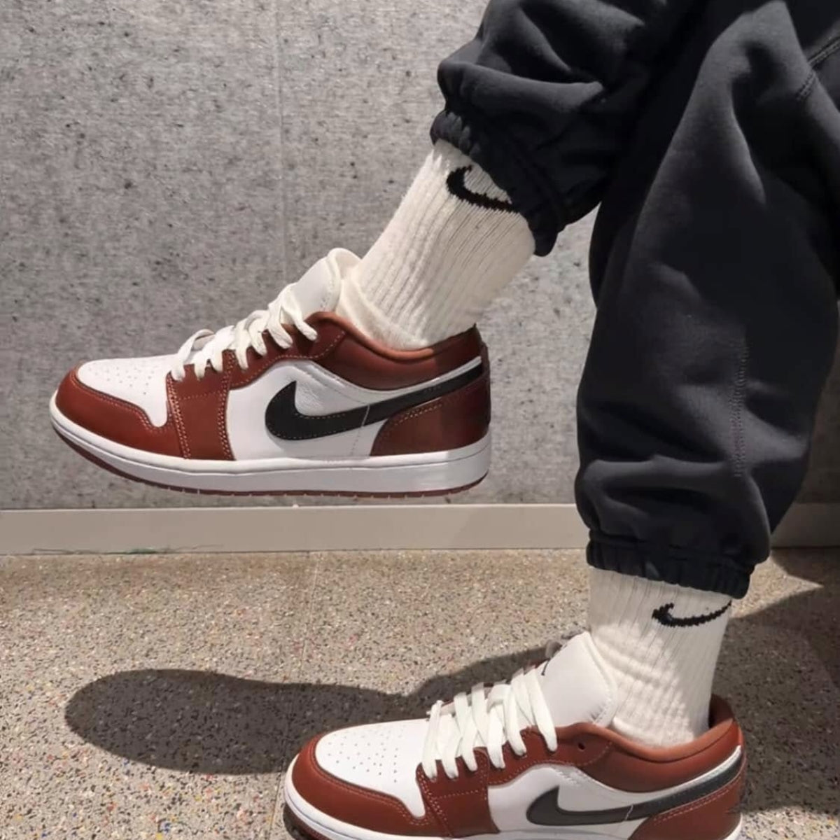 Jordan 1 Low SE Dark Pony