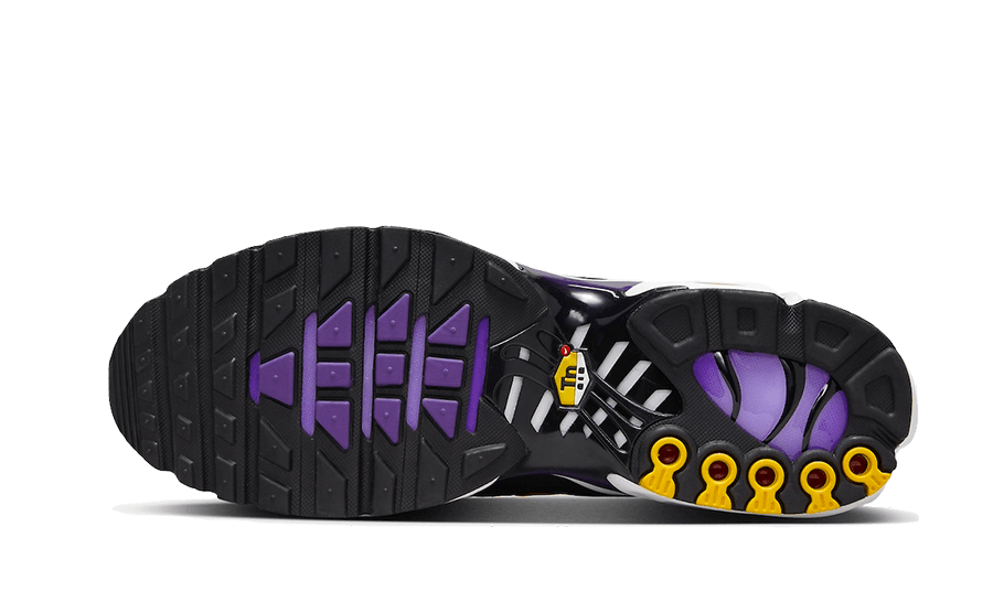Nike Air Max Plus Voltage Lila