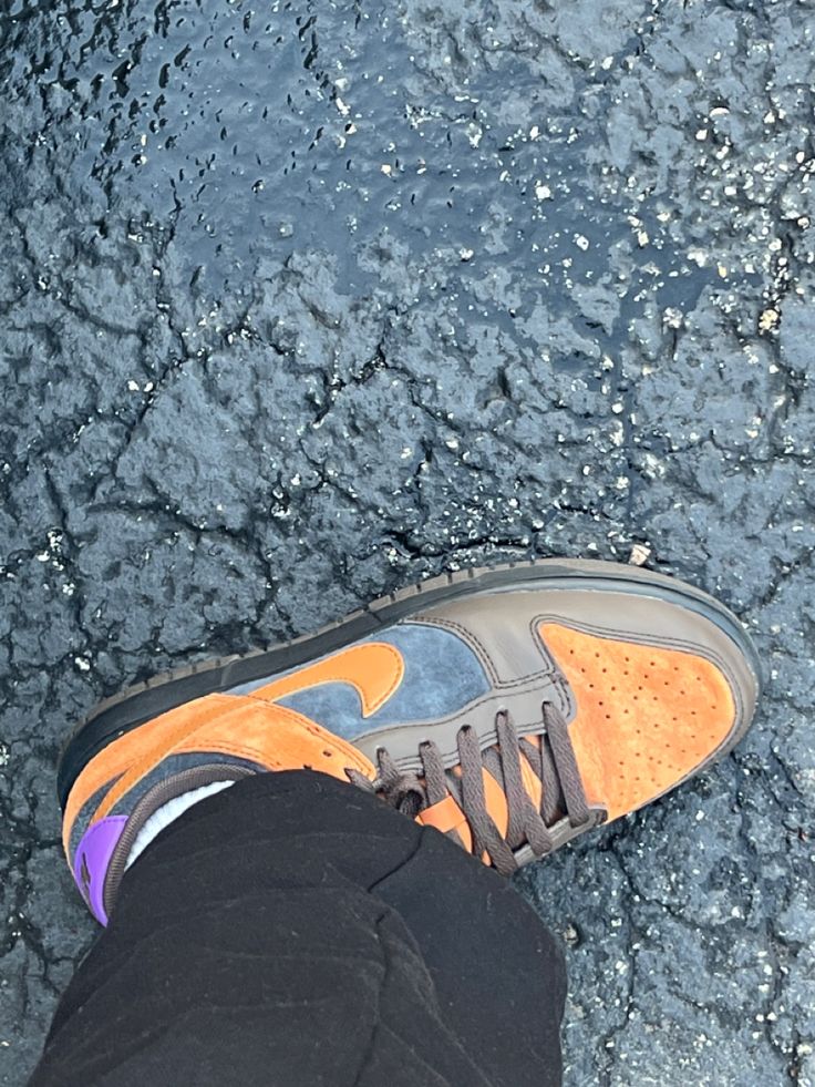 Nike Dunk Low PRM Cider