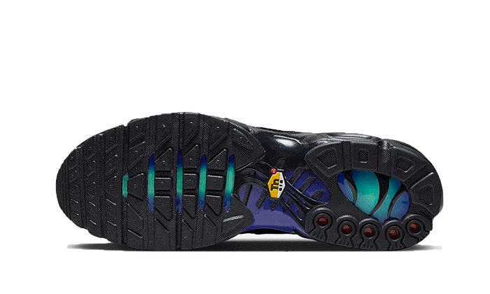 Nike Air Max Plus Schwarz Blau Rot