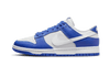 Nike Dunk Low Kentucky Alternate