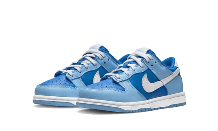 Nike Dunk Low Argon Enfant (PS)