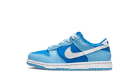 Nike Dunk Low Argon Enfant (PS)
