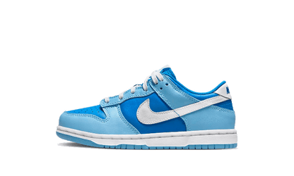Nike Dunk Low Argon Enfant (PS)