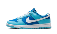 Nike Dunk Low Argon