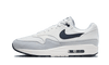 Nike Air Max 1 Pure Platinum