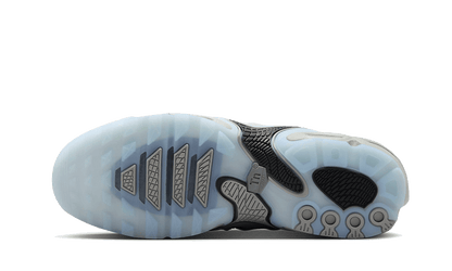 Nike Air Max Plus Drift Helles Rauchgrau