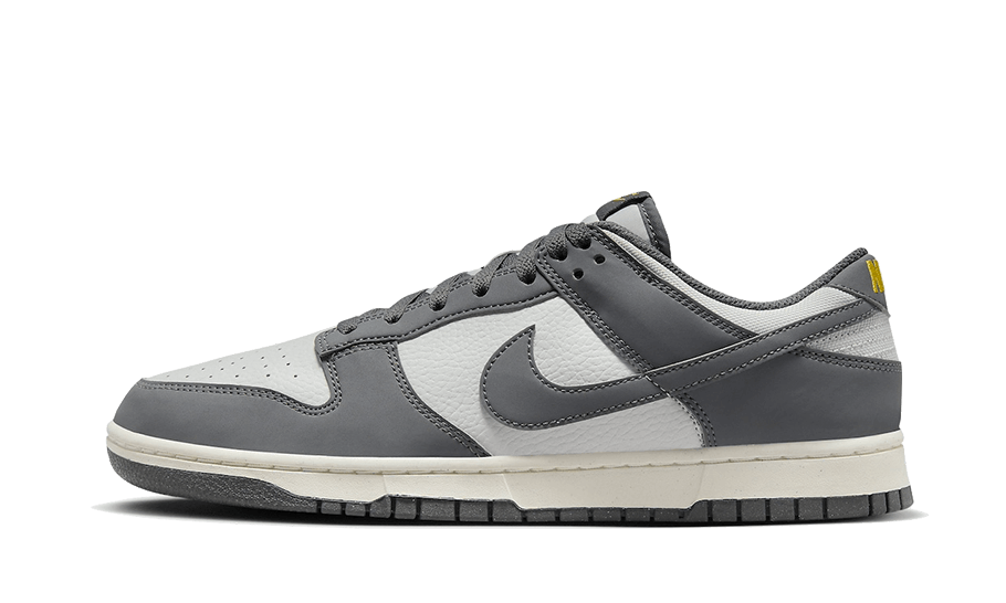 Nike Dunk Low Next Nature Iron Gray Lightning