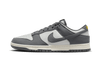 Nike Dunk Low Next Nature Iron Grey Lightning