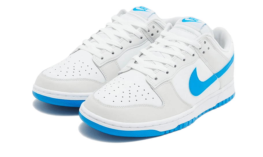 Nike Dunk Low Retro Foto Blau