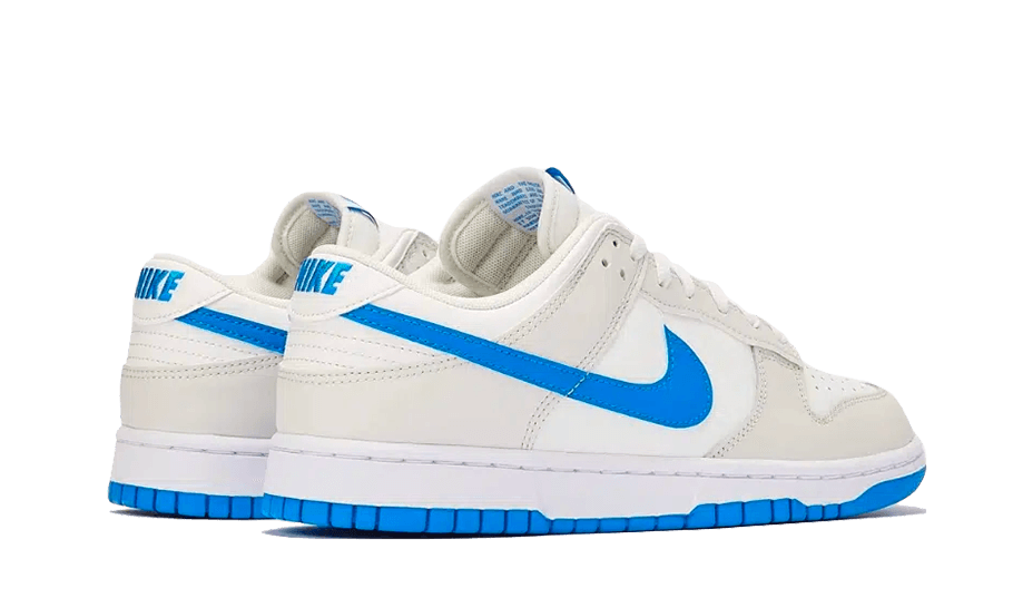 Nike Dunk Low Retro Foto Blau