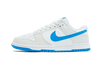 Nike Dunk Low Retro Foto Blau