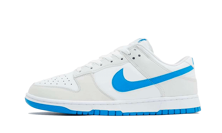 Nike Dunk Low Retro Foto Blau