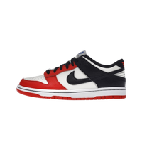 Nike Dunk Low EMB NBA 75th Anniversary Chicago