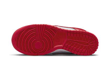Nike Dunk Low UNLV Satin