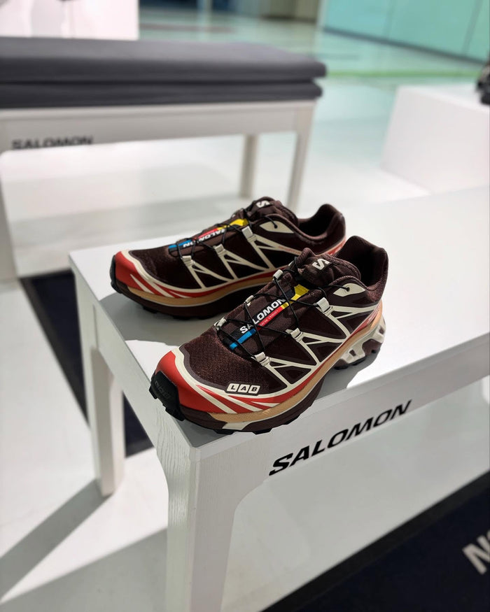 Salomon XT-6 Gore-Tex Roasted Clay detail 2