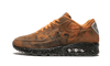 Nike Air Max 90 Mars Landing