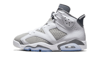 Air Jordan 6 Cool Grey