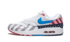 Nike Air Max 1 Parra (2018)