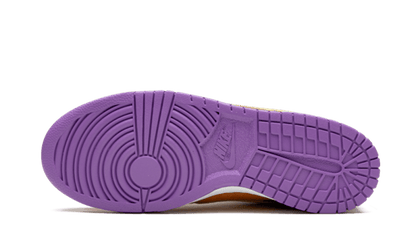 Nike Dunk Low Viotech