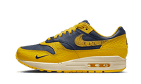 Nike Air Max 1 CO.JP Michigan