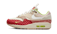 Nike Air Max 1 PRM Woman's Best Friend