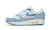Nike Air Max 1 Premium Blueprint