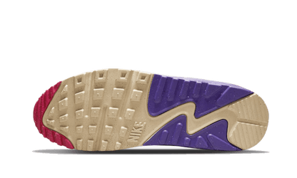 Nike Air Max 90 Air Sprung