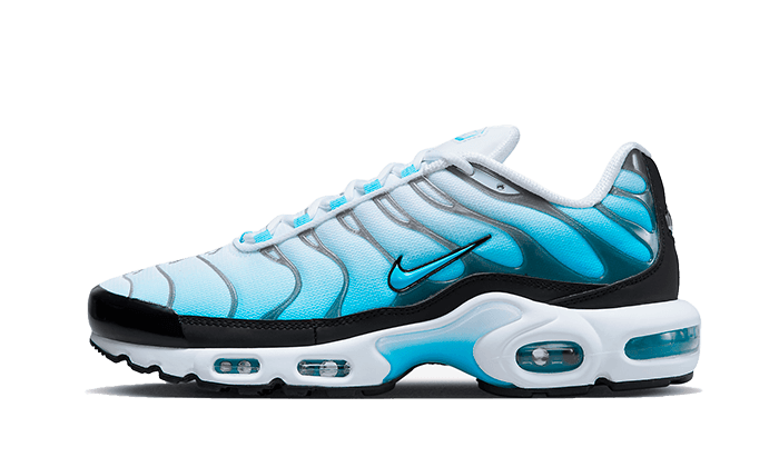 Nike Air Max Plus Baltic Blau