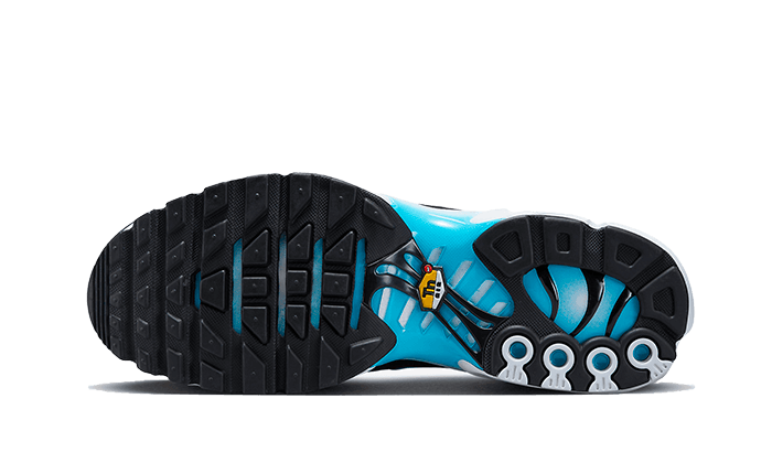 Nike Air Max Plus Baltic Blau