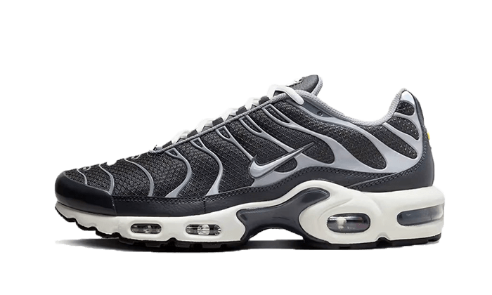 Nike Air Max Plus SE Graustufen Cooles Grau