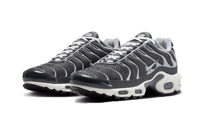 Nike Air Max Plus SE Graustufen Cooles Grau