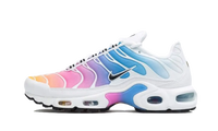 Nike Air Max Plus Summer Gradient