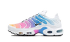 Nike Air Max Plus Summer Gradient