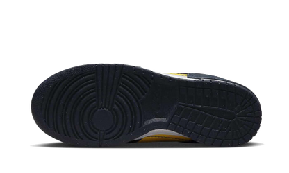 Nike Dunk Low Disrupt 2 Michigan