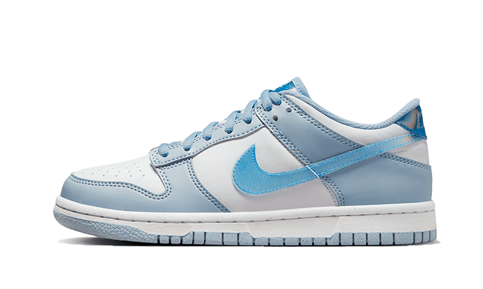 Nike Dunk Low Hologramm