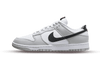 Nike Dunk Low Lotterie