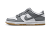 Nike Dunk Low Reflective Grey
