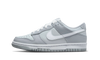 Nike Dunk Low Two Toned Grey