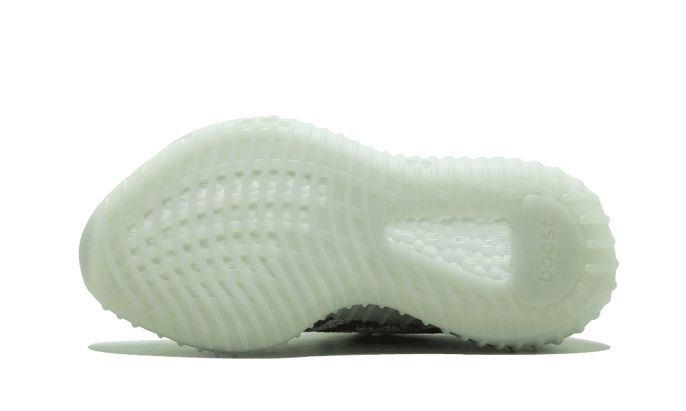 Adidas Yeezy Boost 350 Blue Tint (SALE)